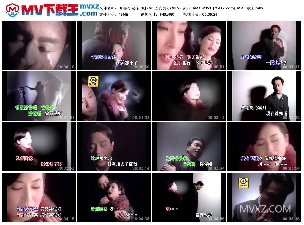国语-陈淑桦_张国荣_当真就好(MTV)_流行_MA102053